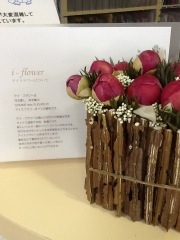 今月のお花