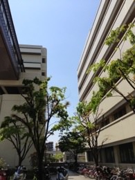 今日は神戸大学病院に…